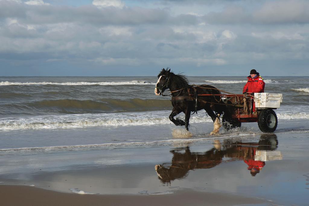 Hoogland Aan Zee 3* Egmond aan Zee